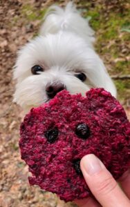 бровко паляничка