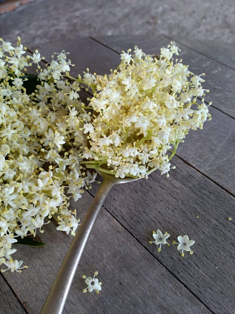 Шкварка